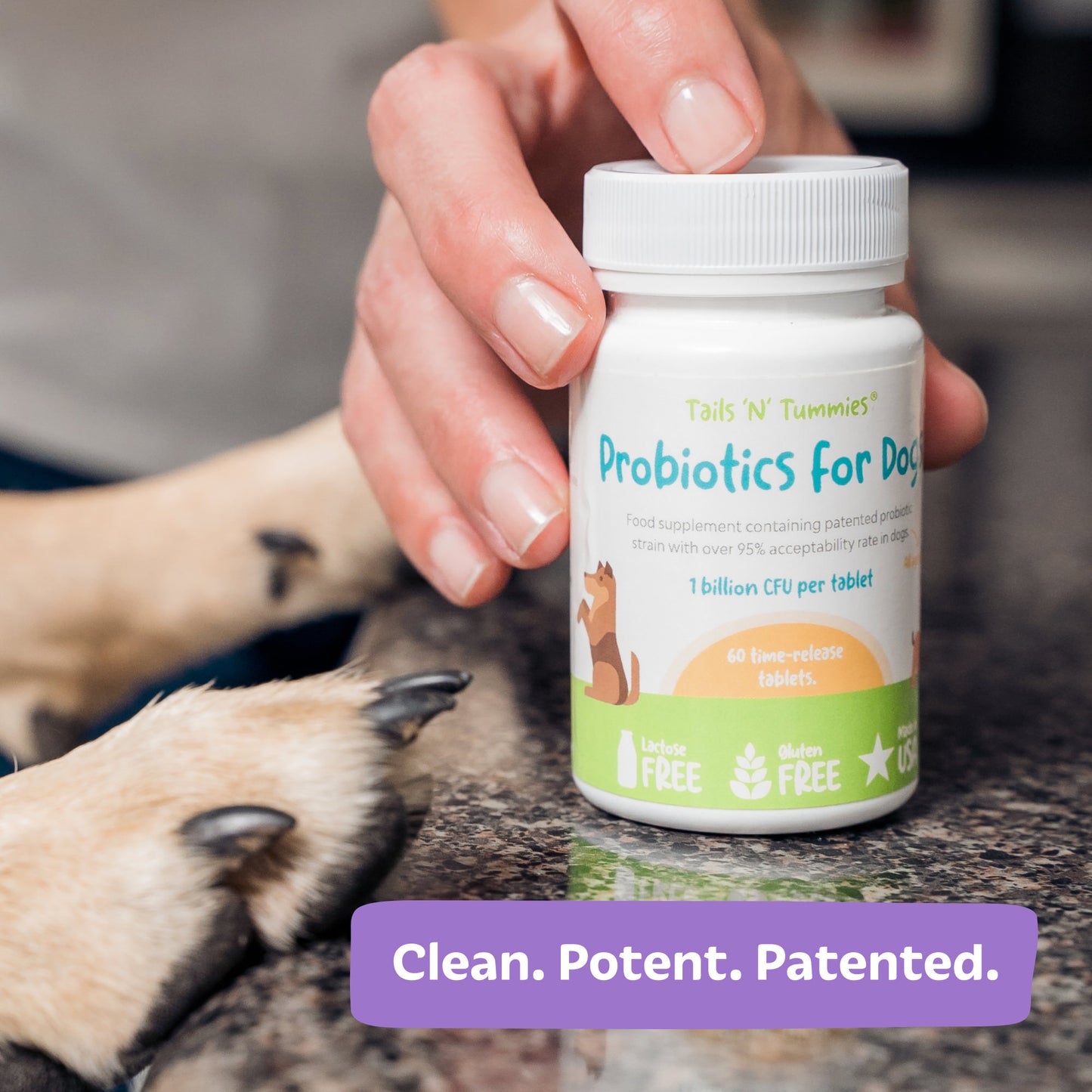 Probiotics for Dogs